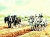 'The Ploughing Match'