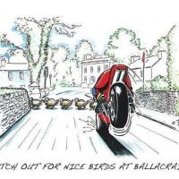 Watch Out For Nice Birds At Ballacraine!