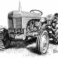 Grey Ferguson Tractor (Pen & Ink)
