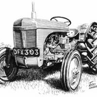 'Grey' Ferguson Tractor