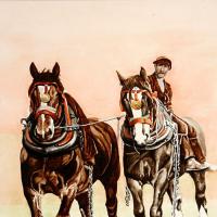 Pair of heavy horses