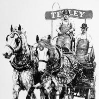 Pair of Grey Shire horses with the 'Tetley' brewers drey