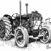 Standard Fordson (Pen & Ink)