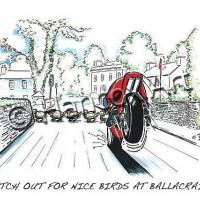 Watch Out For Nice Birds At Ballacraine!